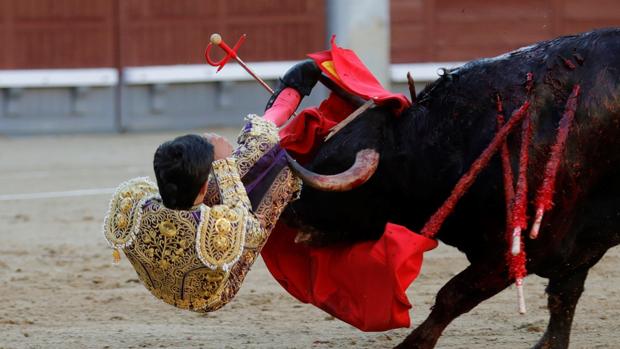 Oreja a la entrega de Francisco de Manuel en San Isidro