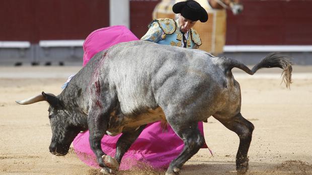 Vuelta al ruedo a un gran toro de Saltillo en San Isidro