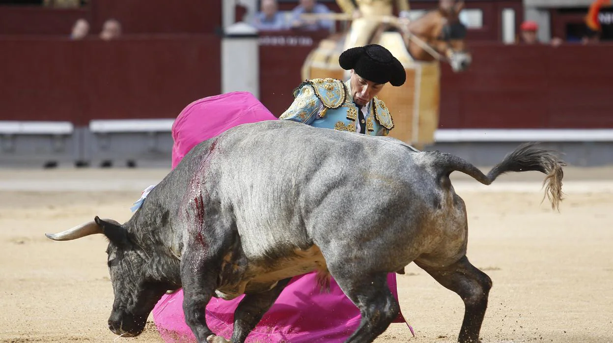Octavio Chacón lidió fenomenal a los toros