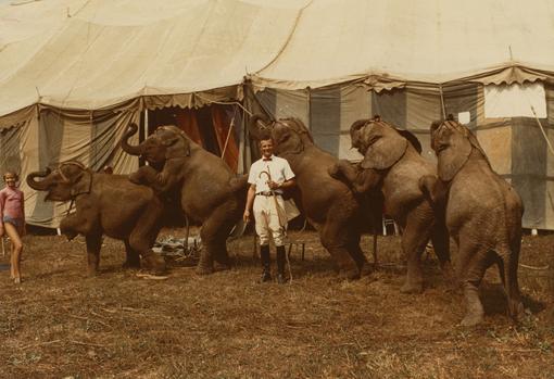 Fotografía anónima de Johnny y Cindy Herriott con los elefantes del Hoxie Brothers Circus