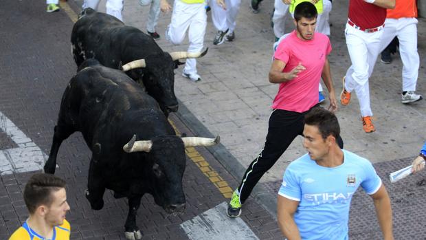 Muere al ser corneado por un toro en Valencia