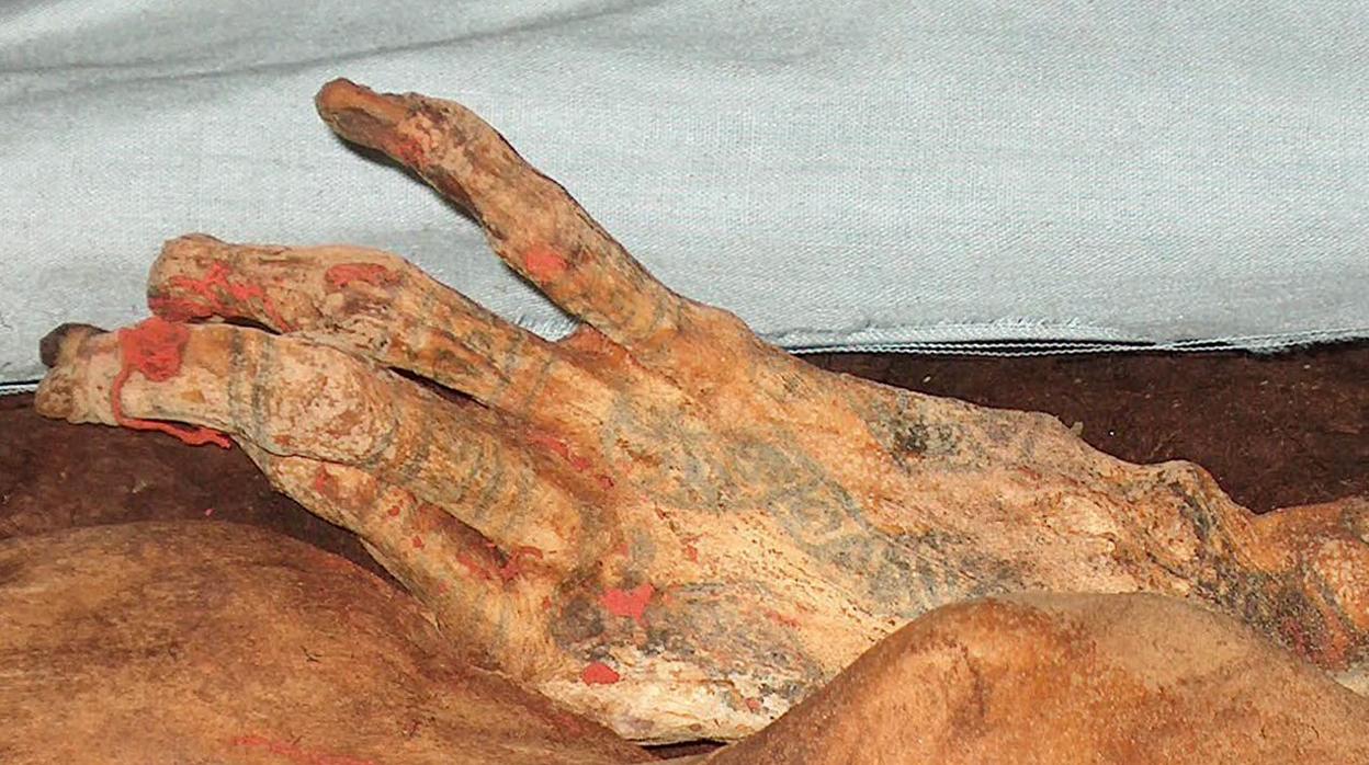 La mano de una de las más fomosa momias incas, la señora del Cao