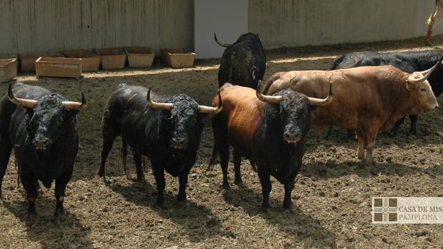 Directo: Castella, Perera y López Simón, toro a toro en San Fermín