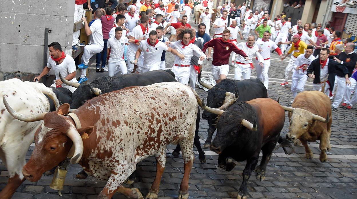 Los toros de Fuente Ymbro en la curva de Mercaderes