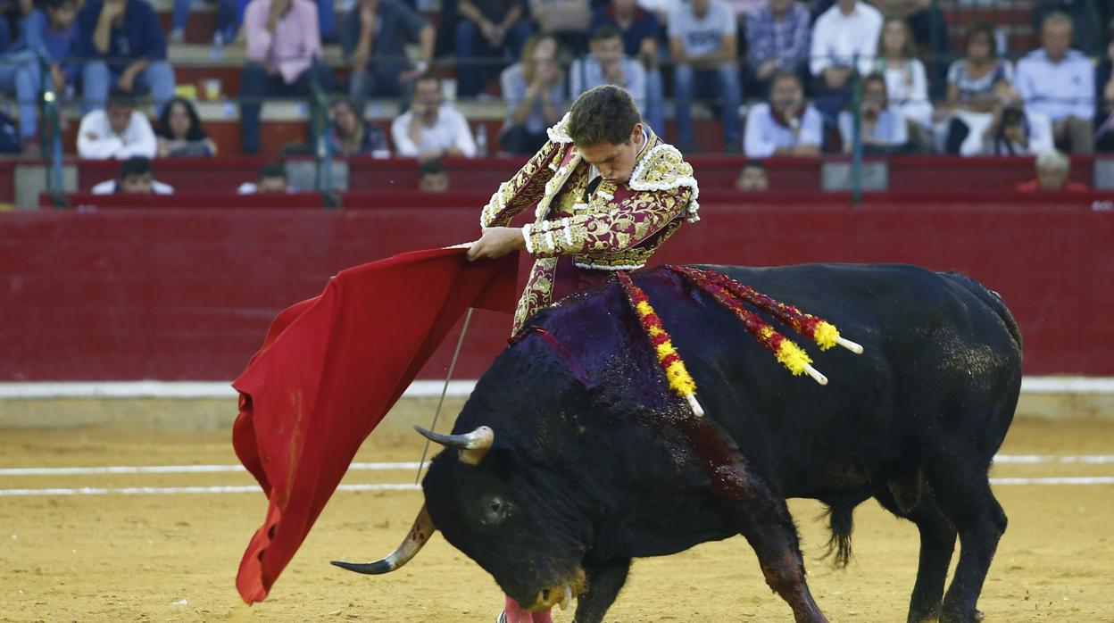 La Justicia no admite el recurso de la Diputación de Zaragoza contra la anulación del concurso por la plaza