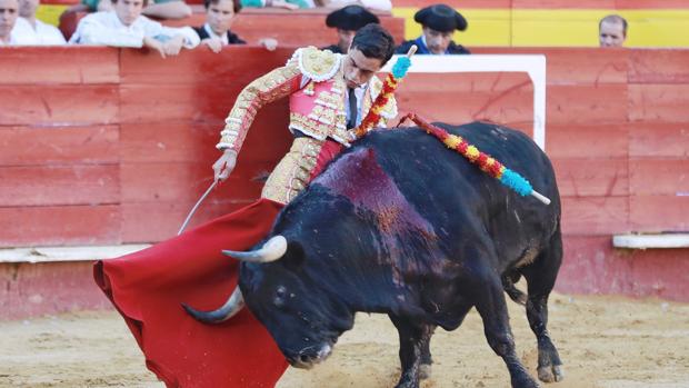 Triunfan Algarra Polera, Ureña y Román en Valencia