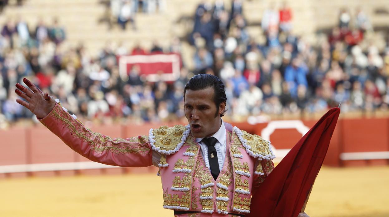 Cornada a David Mora en Socuéllamos