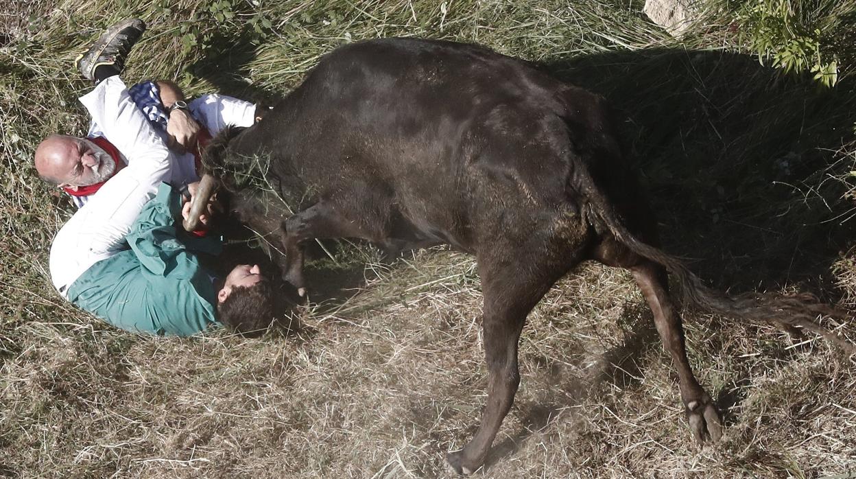 Una vaca se ceba con dos corredores en el encierro del Pilón