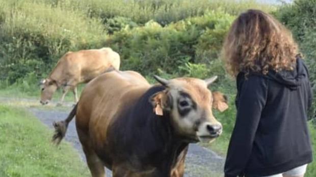 La última aportación de Lucía Etxebarría: «Un toro negro no es más bravo que un toro marrón»