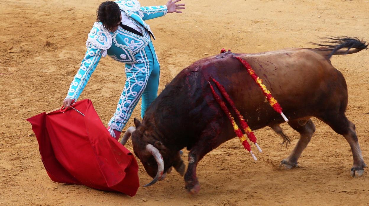 Las citas taurinas de septiembre que no te puedes perder en Sevilla