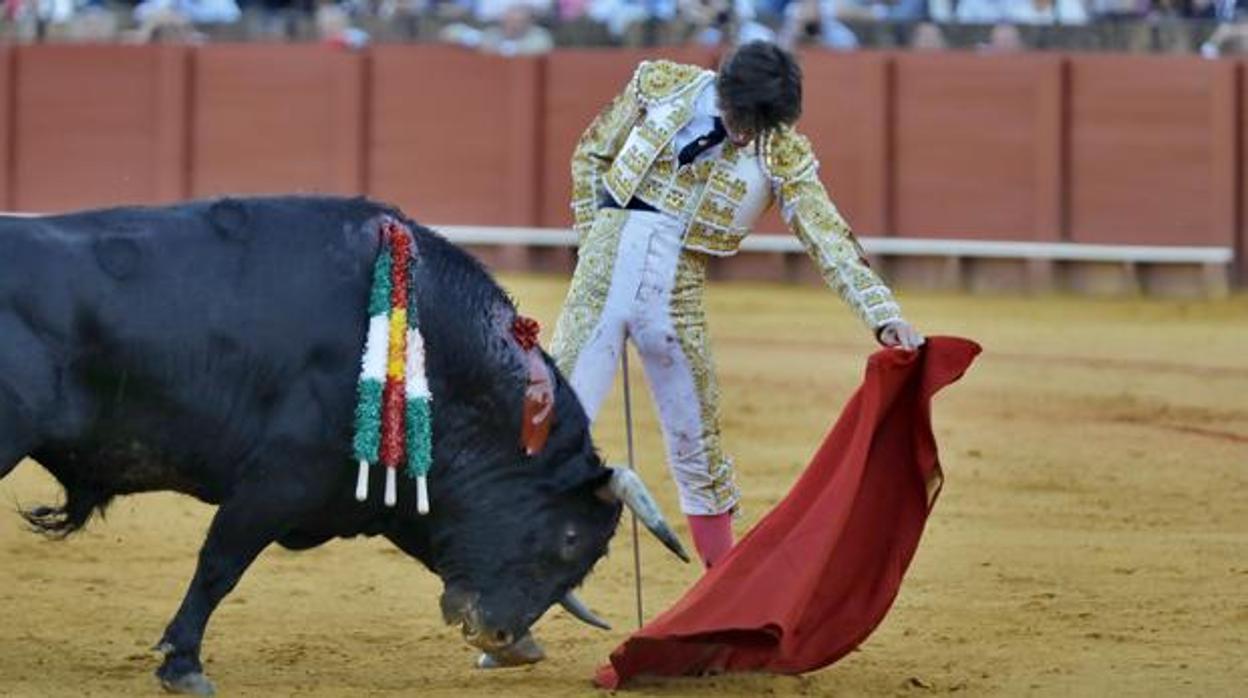 El novillero Ángel Jiménez en el festejo del Corpus de 2018 en la Maestranza