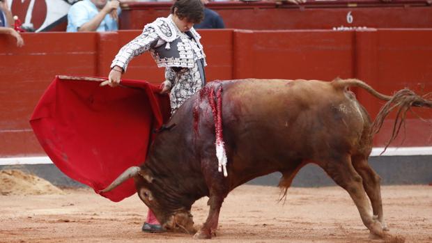 Roca Rey, capitán general (también) en Salamanca