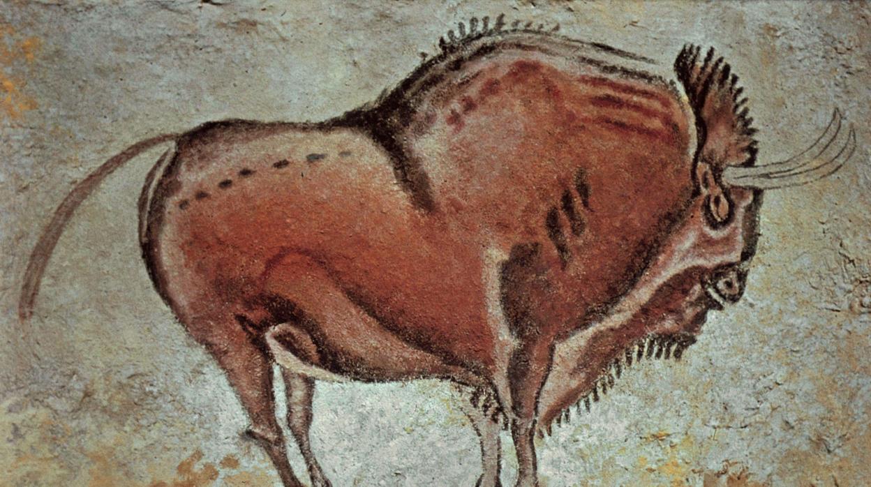 El bisonte de Altamira que se halla en la Cueva de Altamira en Santillana del Mar (Cantabria)