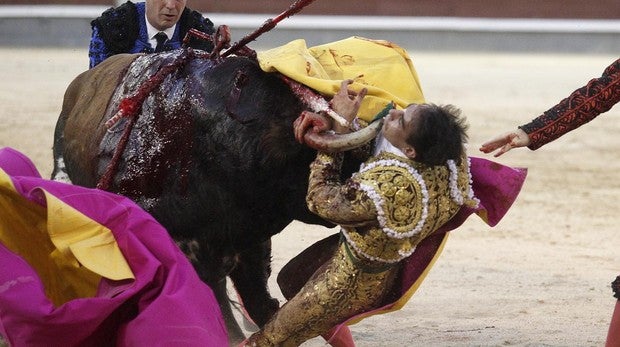Horrible cogida a Fortes y oreja a Pablo Aguado, pura escuela sevillana