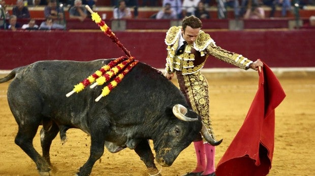 Feria del Pilar: la dorada madurez de Antonio Ferrera