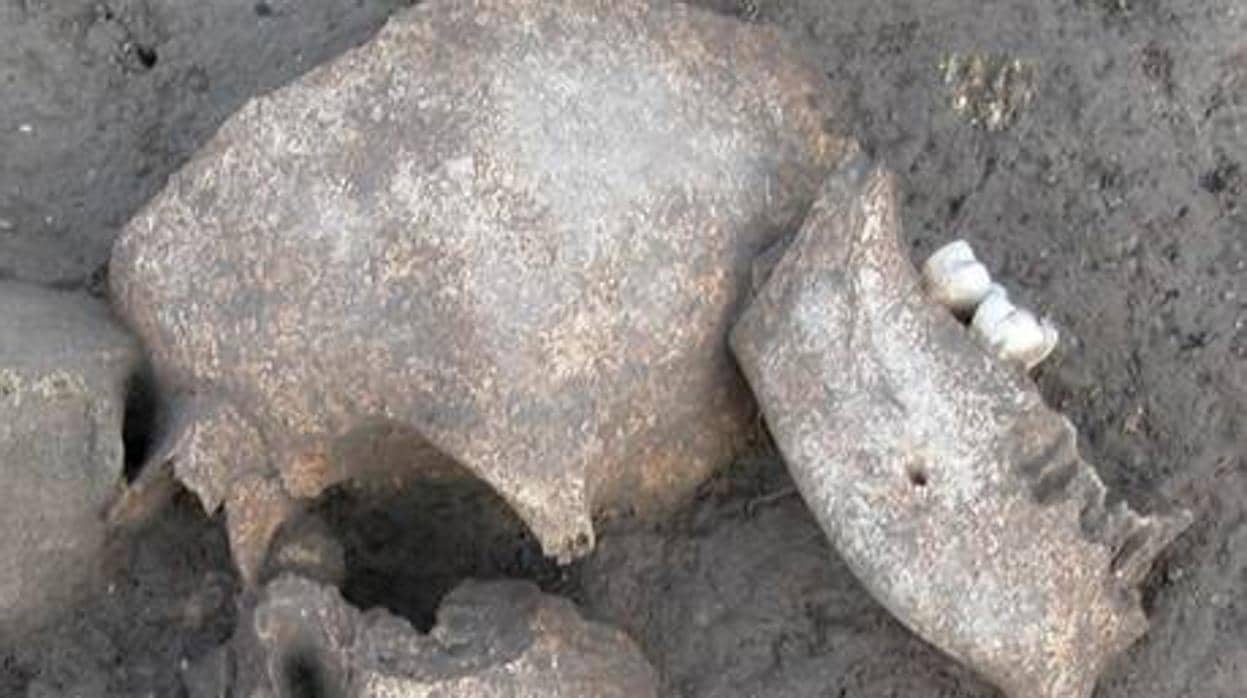 Restos humanos encontrados en el yacimiento arqueológico de Le Cailar