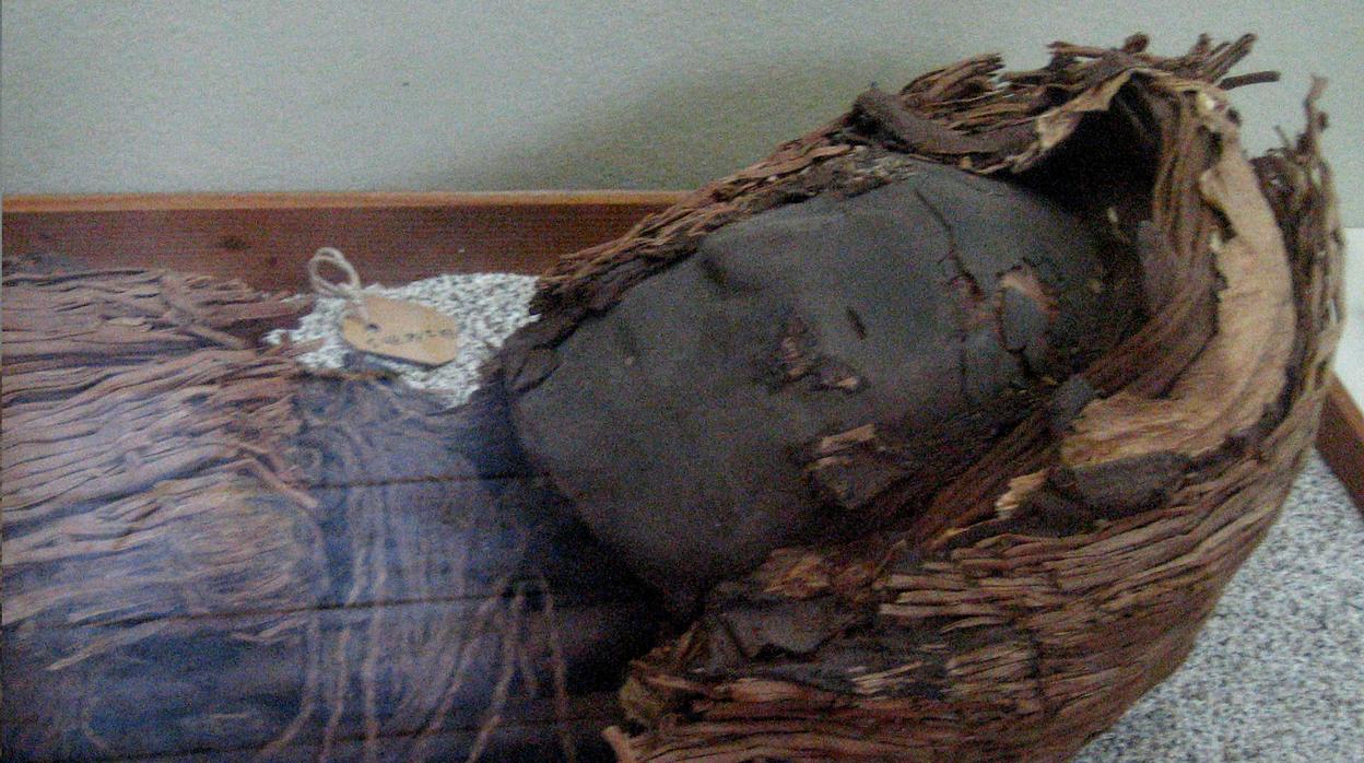 Una momia de la cultura chilena Chinchorro