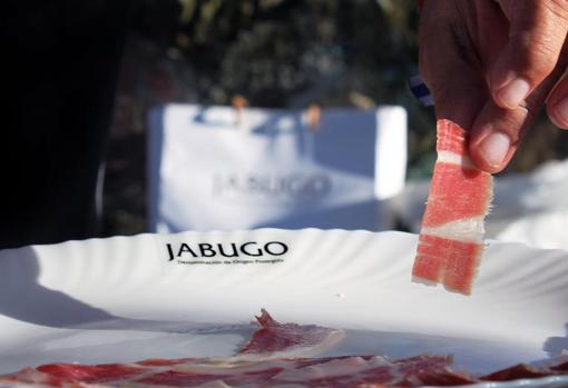 Jamón de bellota 100% ibérico de Jabugo