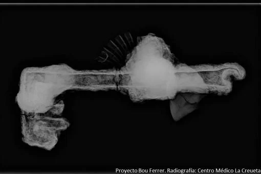 Radiografía de la llave encontrada en el Bou Ferrer