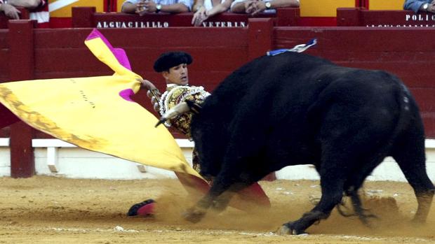 La Justicia dictamina que ningún ayuntamiento puede prohibir los toros