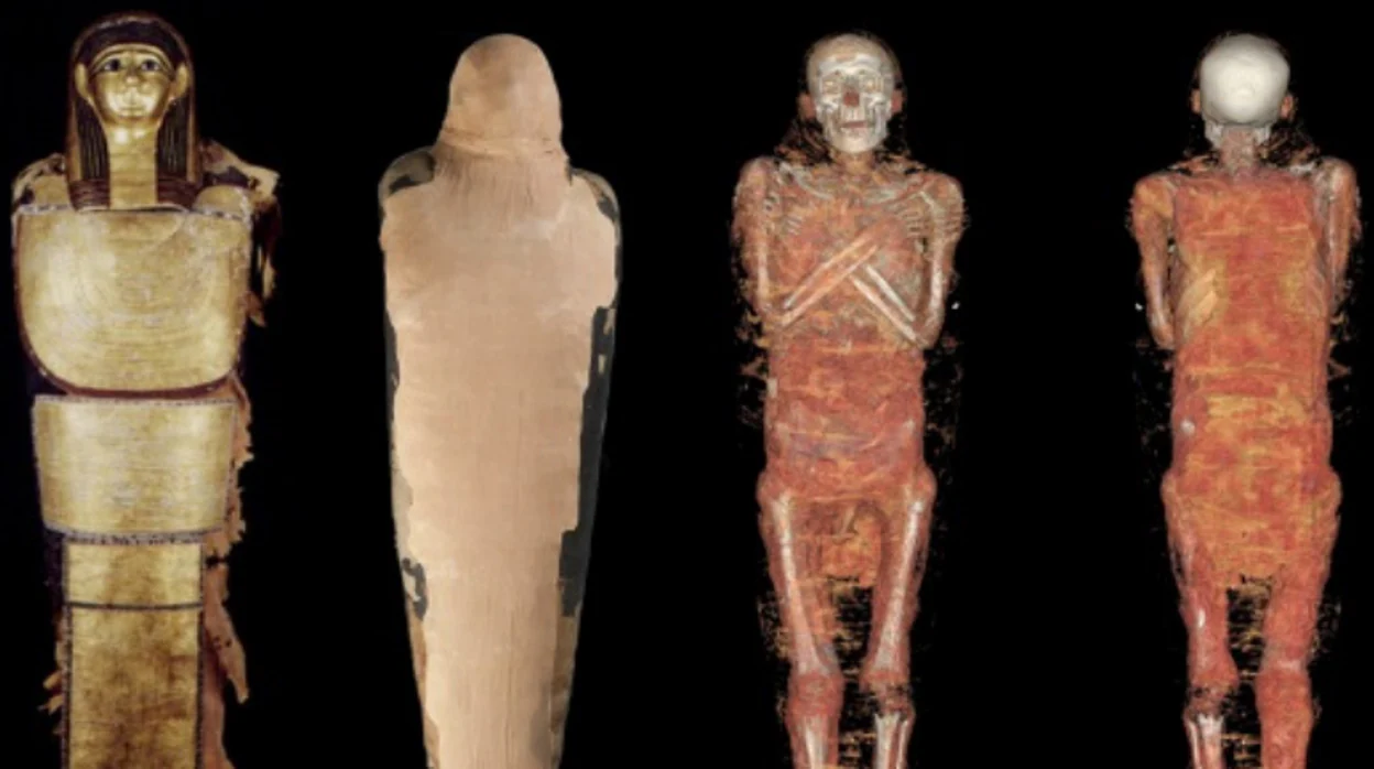 Composición de cuerpo entero de Nespamedu, con cartonaje y vendaje