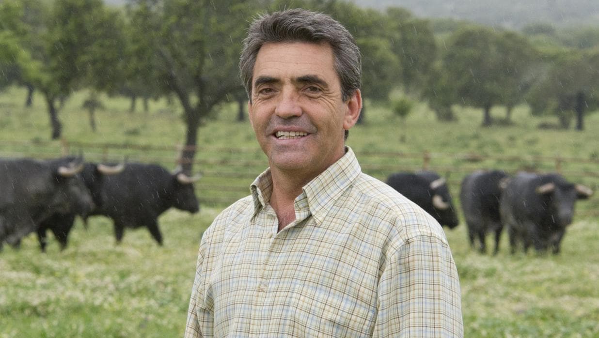 Victorino Martín, rodeado de sus toros
