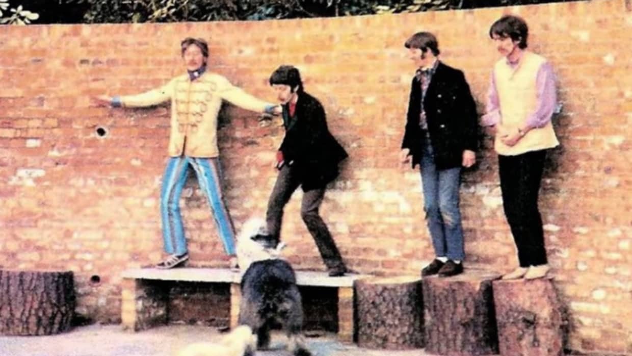 Catpura del videoclip de los Beatles