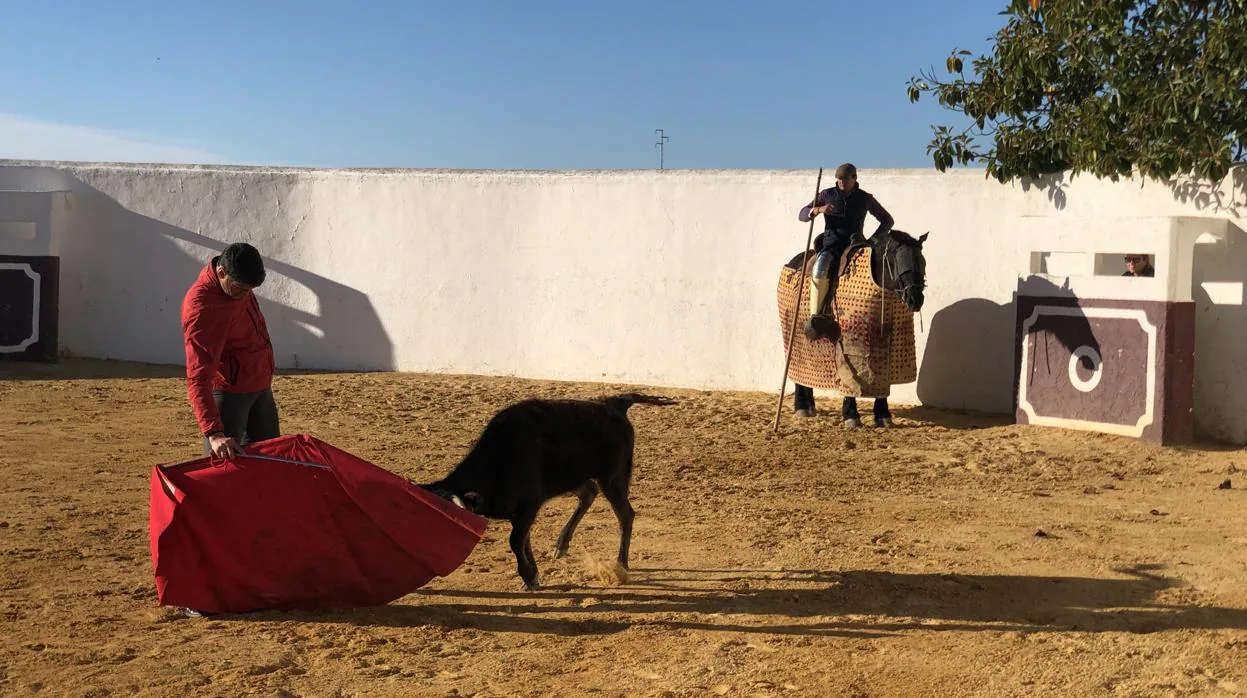 El diestro Jesulín de Ubrique, tentando una vaca en el Cortijo de la Sierra
