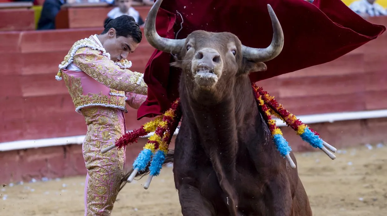La firmeza de Paco Ureña en el inicio de faena al cuarto toro