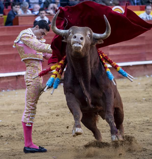 Feliz reaparición de Paco Ureña en la Feria de Fallas