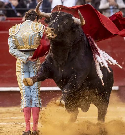 Sebastián Castella, con el quinto toro