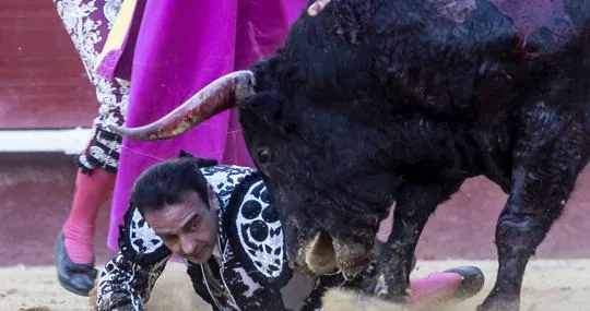 Ponce, a merced del toro tras caer herido