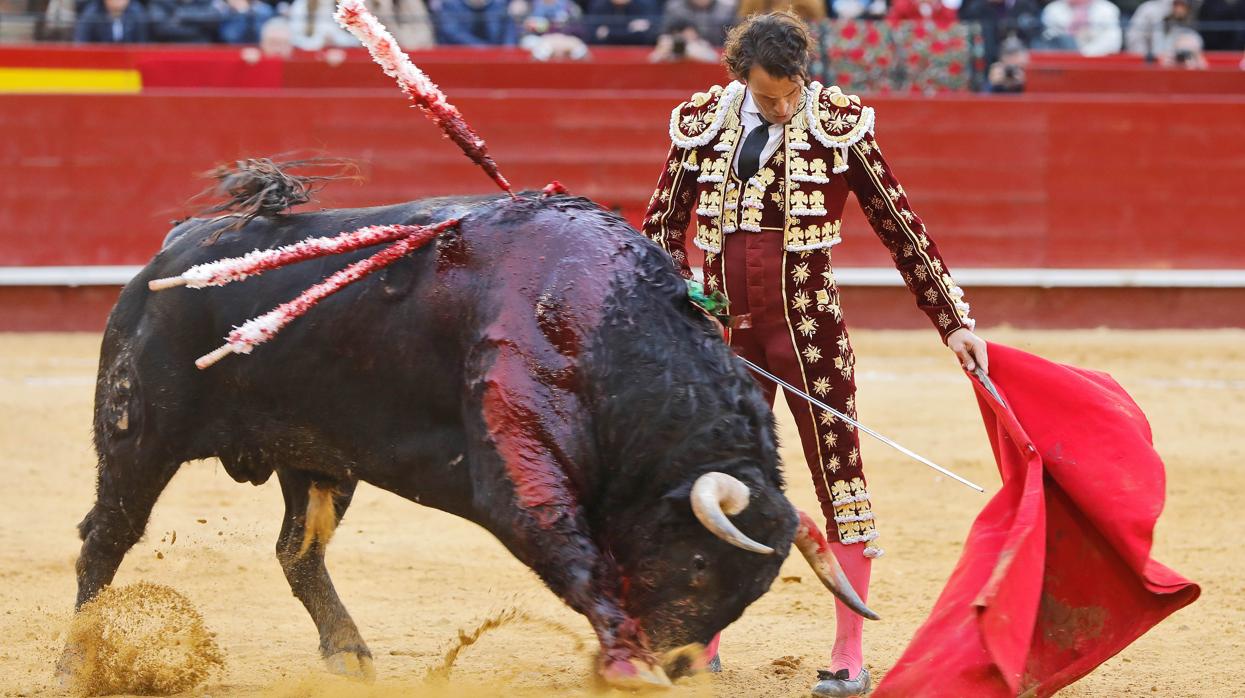 Finito de Córdoba pintó muuletazos como carteles de toros