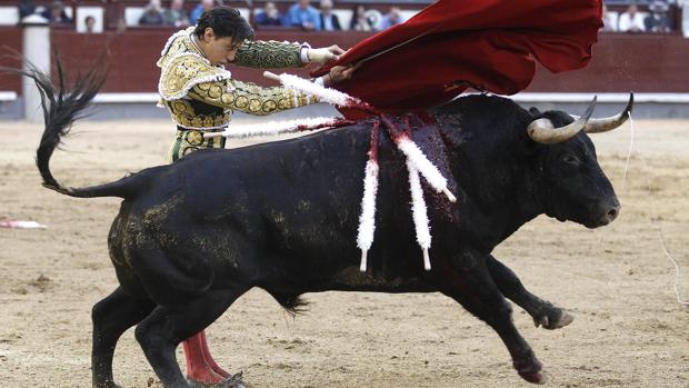 Estos son los carteles taurinos de la Feria de San Isidro 2019