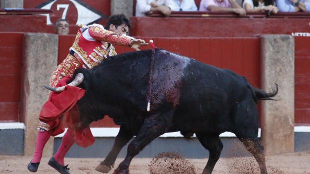 La tradicional corrida concurso abrirá la Feria de San Jorge de Zaragoza