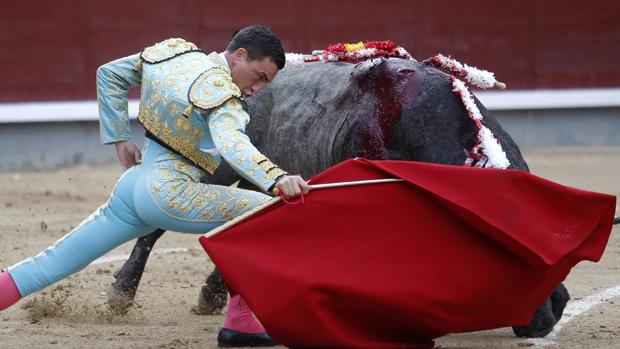 Octavio Chacón: «Anunciarme en Madrid con los toros de Victorino siempre es un privilegio»