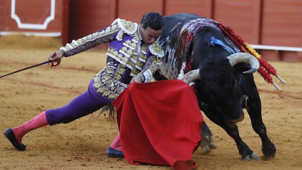 ¡Apúntame otra vez a Torrestrella!