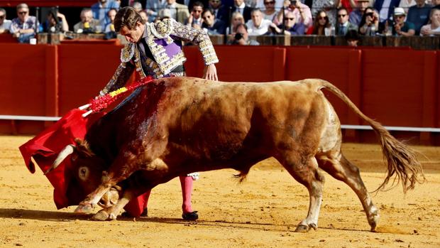 Toros en Sevilla: Ventura pincha una gran actuación y Cayetano da dos vueltas