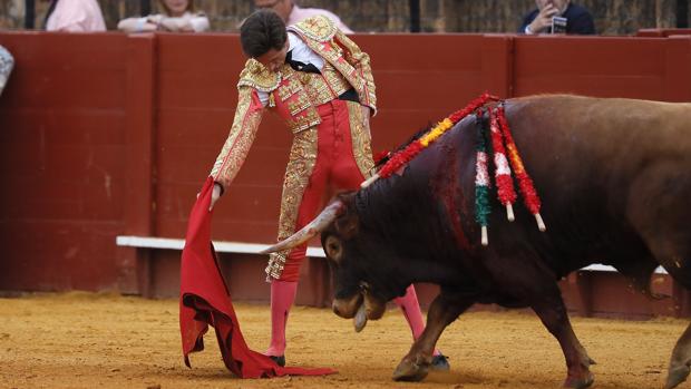 Ángel Jiménez, buen concepto y oreja a un gran novillo de El Parralejo