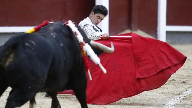 Excelente novillada del Conde de Mayalde en Las Ventas