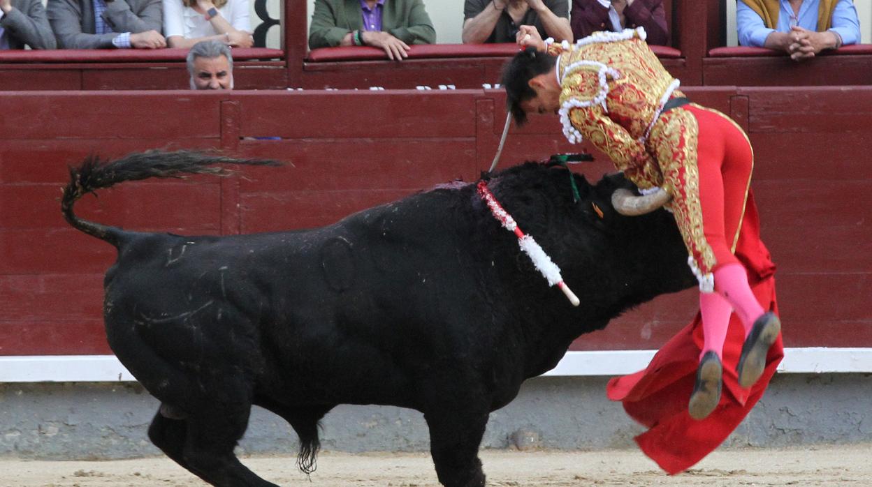 El pitón se hunde en el muslo de Gonzalo Caballero al entrar a matar