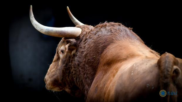 Directo: Sebastián Castella, Emilio de Justo y Ángel Téllez, con los toros de Jandilla