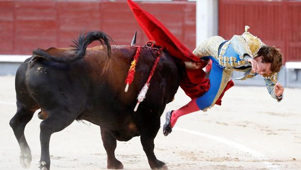 Directo: brutal cornada a Román con el tercer toro de de Baltasar Ibán en San Isidro