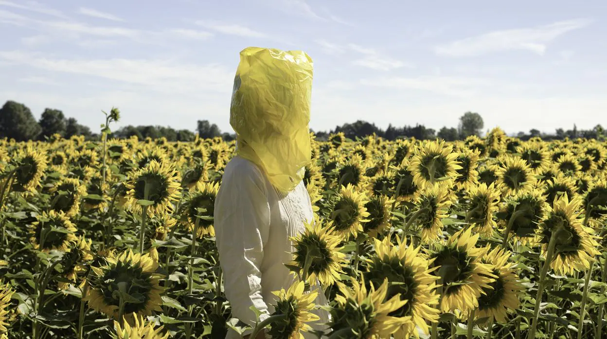«Gelbe Musik with Sunflowers» (2016), obra de Elina Brotherus de #la serie «Retratos»
