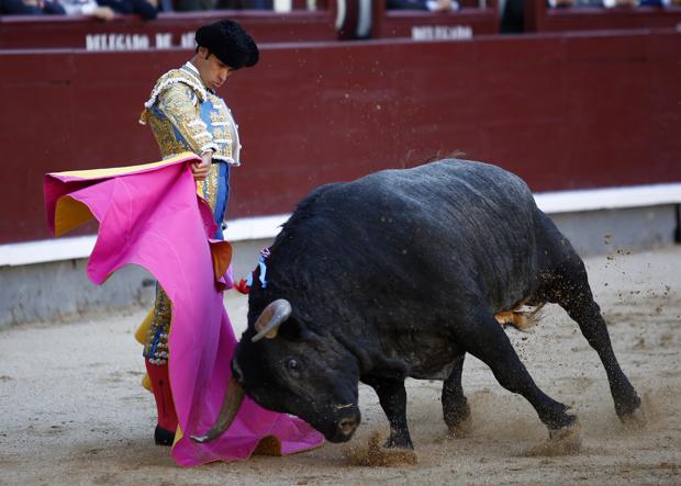 Se llamaba «Carasucia»: ¿era de vuelta al ruedo?