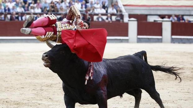 Pablo Aguado, herido, proyecto ilusionante de gran torero