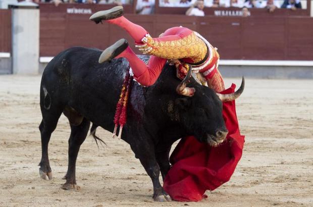 Confirmada la rotura de costilla a Paco Ureña