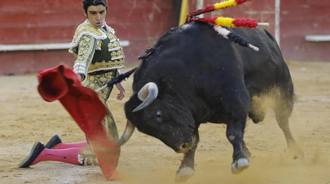 Miguel Ángel Perera, de rodillas con el toro «Holgado»