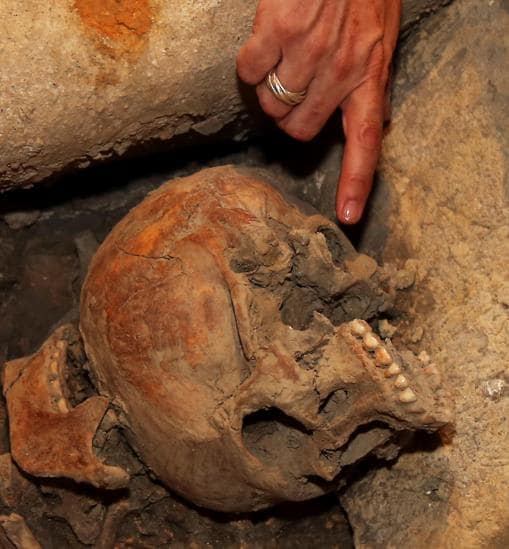 Cráneo de los restos hallados en el sarcófago de Granada