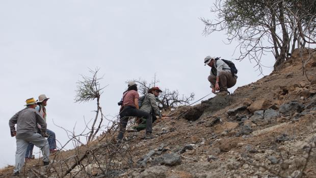 La Garganta de Olduvai: viaje a la Cuna de la Humanidad